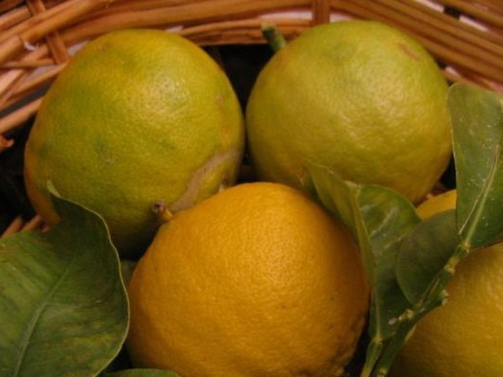 Sicilian bergamot essential oil, cold-pressed