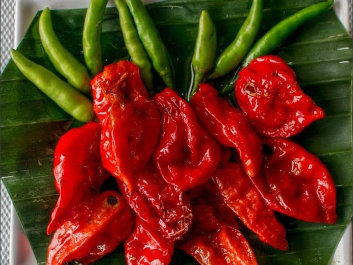 Naga king chilli (Bhut Jolokia), GI-tagged