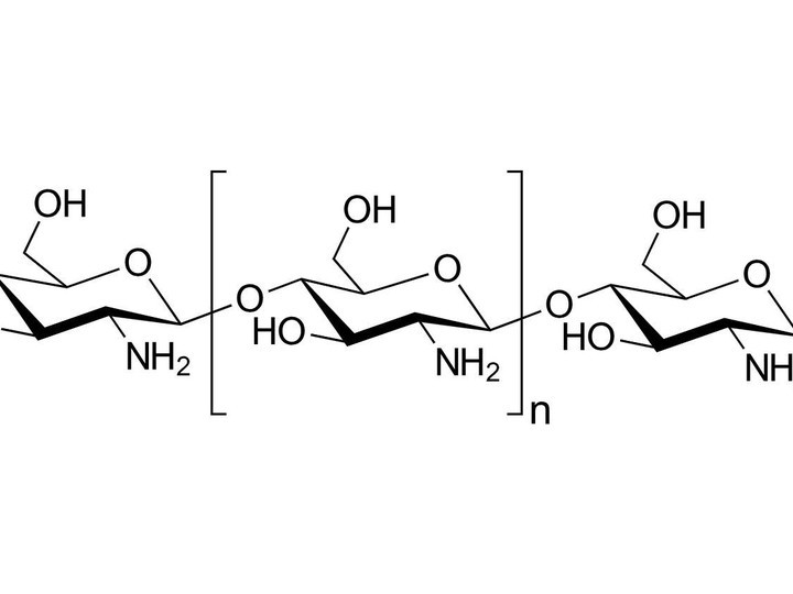 Fungal-derived vegan chitosan (from mushroom cell walls)
