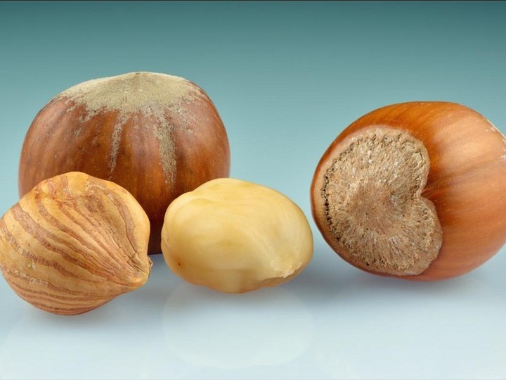 Truffle-inoculated hazelnut orchard oil