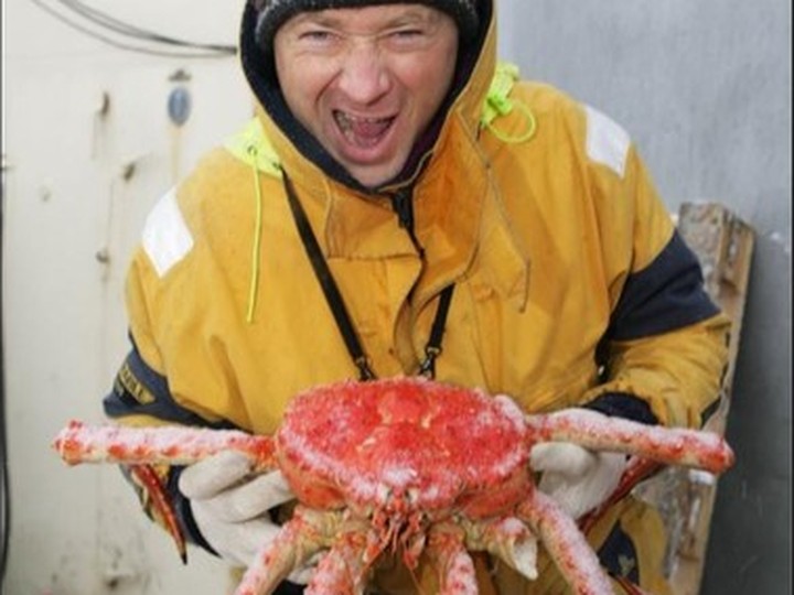 Norwegian king crab, cold-water wild catch