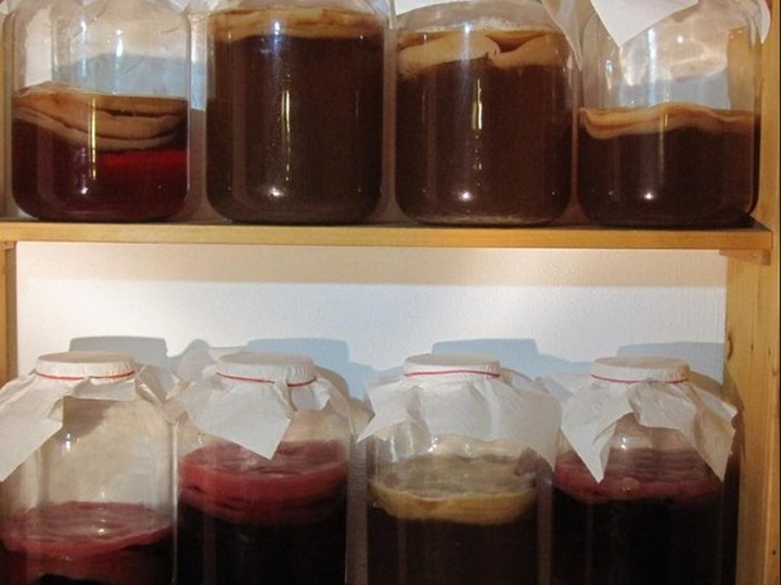 Kombucha SCOBY leather sheet (bacterial-fungal biofilm)