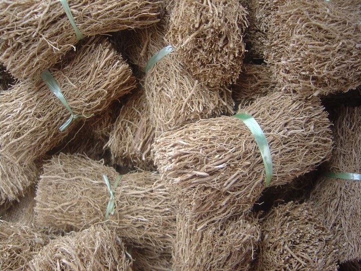 Vetiver (khus) root essential oil